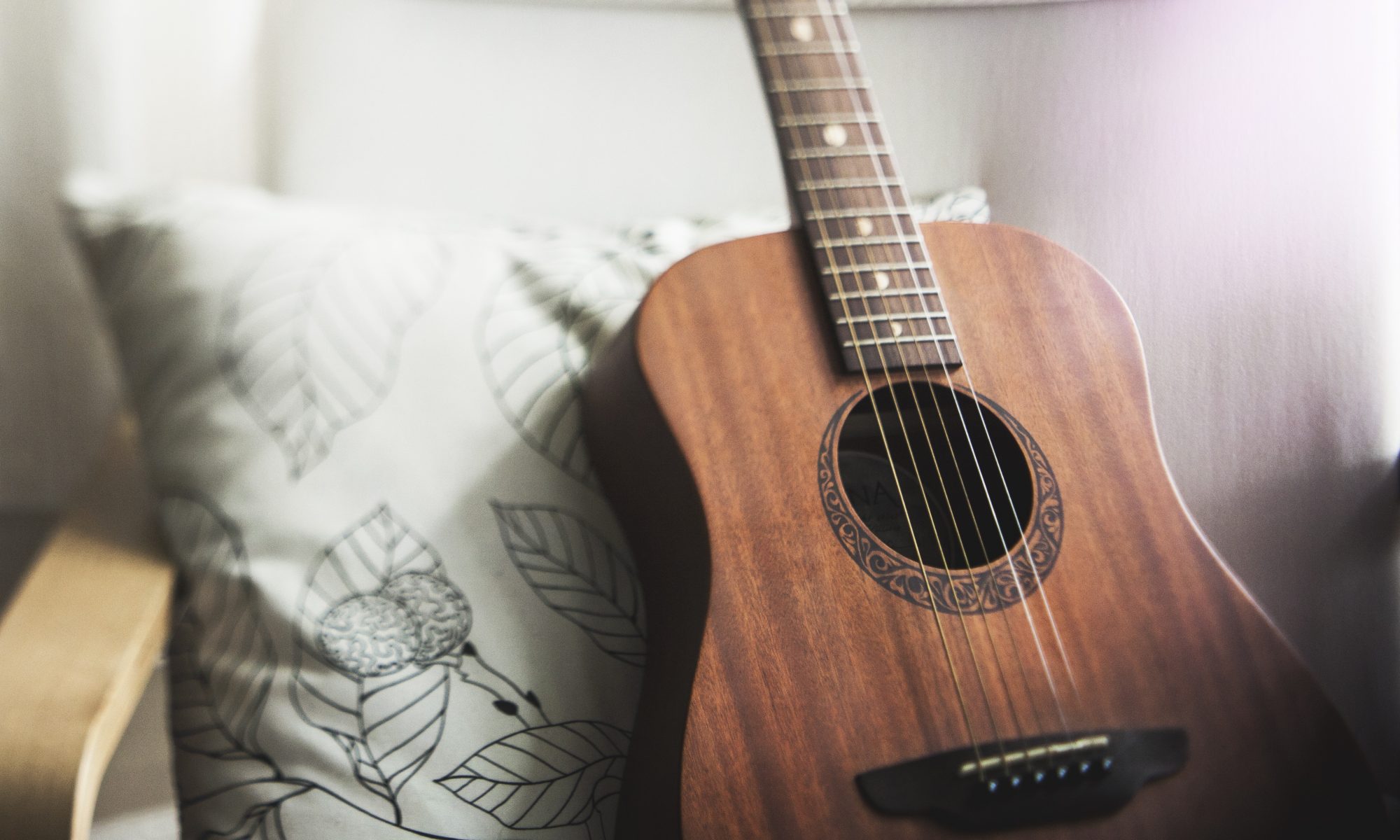 Ereni Mendrinos - Folk Singer-Songwriter